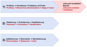 Participation 4.0 - Jobcoaching Anleitung